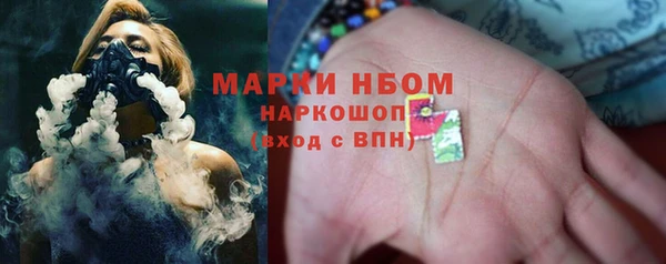 гидропоника Алзамай