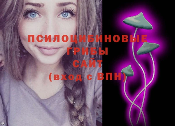 гидропоника Алзамай