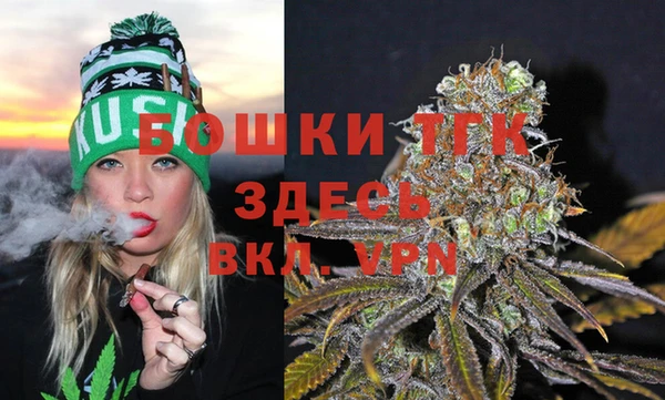 гидропоника Алзамай