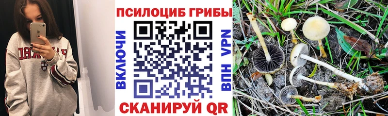 Галлюциногенные грибы ЛСД купить закладку блэк спрут зеркало Лахденпохья